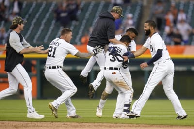 Castro's hit in 10th gives Tigers 9-8 win over Cubs - The San