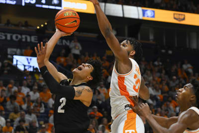 Watch: Timmy Allen Hits Sweet 16 Halftime Buzzer-Beater For Texas