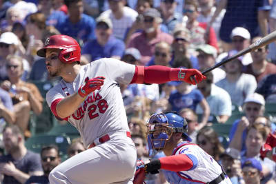 Cubs' Pederson brought souvenirs to the people in San Diego