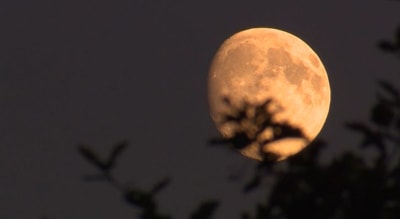 Full Pink Moon To Shine Easter Weekend