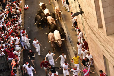 Tourists injured in Pamplona bull run, St George & Sutherland Shire Leader