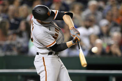 30 San Francisco Giants Family Softball Stock Photos, High-Res