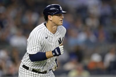 DJ LeMahieu back home in Michigan in midst of historic Yankees season  DJ  LeMahieu is back home in Michigan in the midst of an historic season with  the Yankees. We talked