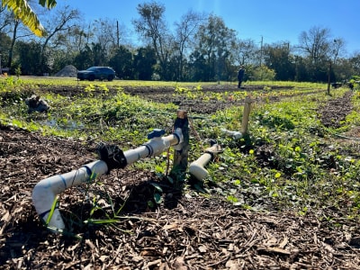 Nonprofit urban farm in Northwest Jacksonville vandalized 3 times in 3 weeks image