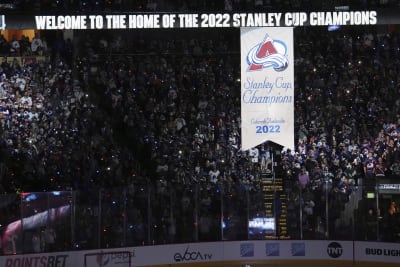 Blues' Stanley Cup banner celebration spoiled by loss to Capitals