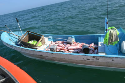 Coast Guard rescues local FL fishermen in Gulf of Mexico