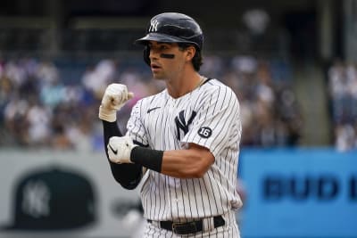 Tyler Wade: next man up for Yankees? - Minor League Ball