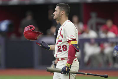 St. Louis Cardinals on X: Outfield wall official!