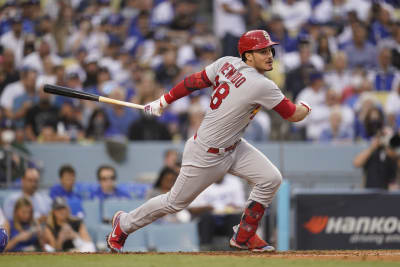 Chris Taylor's walk-off home run sends Dodgers past Cardinals in NL  wild-card game