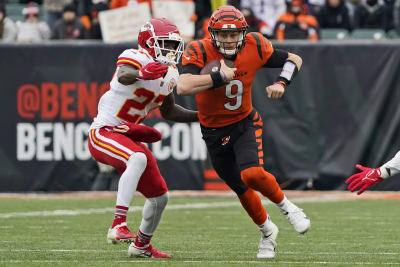 Cincinnati Bengals celebrate their first AFC North title since 2015