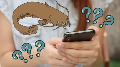 How would you describe catfishing to someone from the '60s?