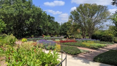 San Antonio Botanical Garden giving free admission to ...