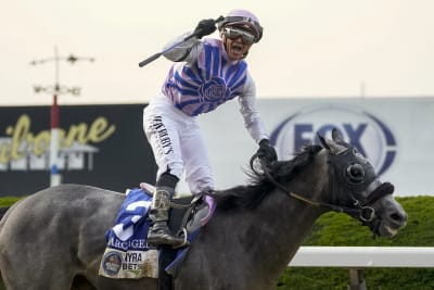 Marlins Man's latest appearance is at the Preakness Stakes 