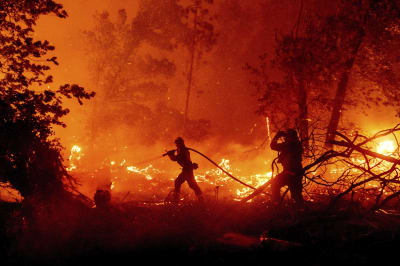 Creek Fire reaches Mammoth Pool Reservoir; military helicopters rescue over  150 people - Wildfire Today