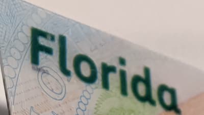 Florida's NEW Driver License and ID Card - Florida Department of Highway  Safety and Motor Vehicles