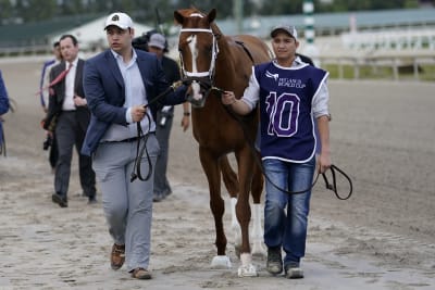 Marlins Man' owns horse running at Gulfstream Park