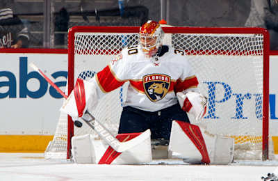 Nhl panthers cheap new jersey