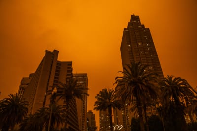 Horrific California wildfires create eerie biblical scene over San  Francisco Giants' Oracle Park with smoke in distance