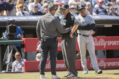 Rays' Wander Franco Returns From Benching With a Bang in First At-Bat Back  in Lineup