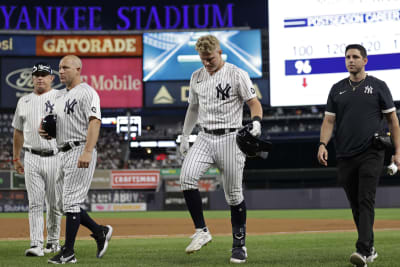 Fan who hit Red Sox's Alex Verdugo banned for life from MLB stadiums 