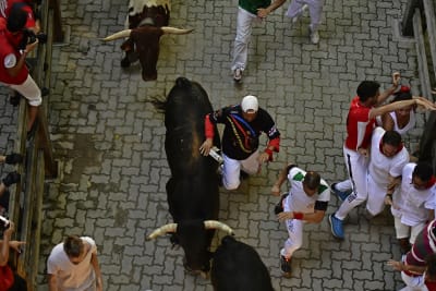 The Running of the Bulls – Tradition or Cruelty? – Week 6