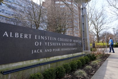 $1B donation makes New York medical school tuition free and transforms  students' lives