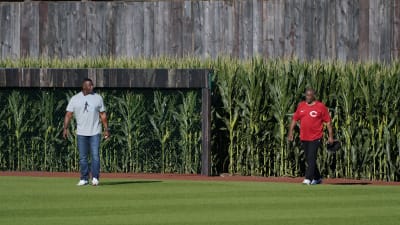 Star Cubs prospect Javier Baez ejected during Iowa game