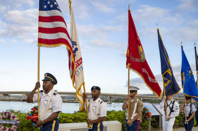 Silhouette of a Color Guard performer with a flag raised overhead