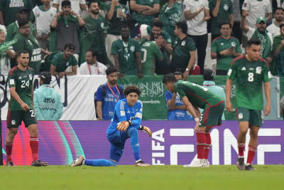 2022 FIFA World Cup: Saudi Arabia coach no stranger to upsets