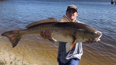 St Johns River: Premier Florida Bass Fishing: Book Tours & Activities at