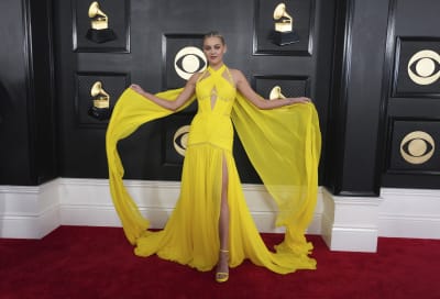 grammys red carpet 2023: lizzo, doja cat, taylor swift, and more - The Hindu