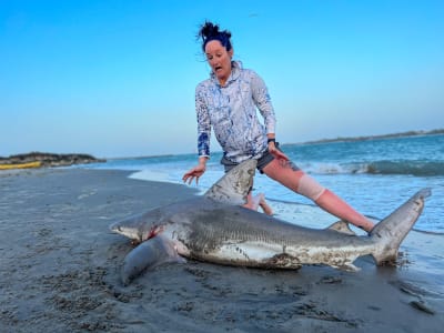 Fisherman reels in 7.5-foot bull shark along Texas coast