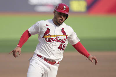 Cardinals rally for 7-5 win over the Cubs to split London series