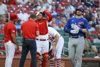 Ex-Gators catcher David Ross of Cubs homers in his last game, Game