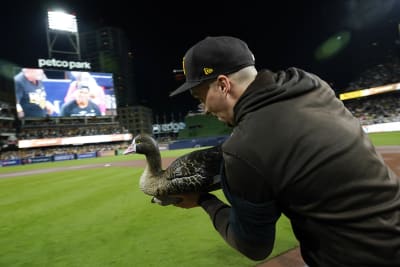 Dodgers Evaluate Angels' Pesky Rally Monkey - CBS Los Angeles