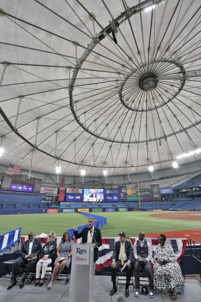 New Rays ballpark plan has been unveiled, complete with fancy drawings