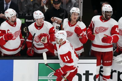 Red Wings Notebook: Detroit Needs to Find Positive Result Over Last Two  Games