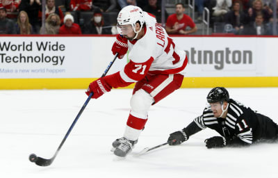 Larkin red discount wings jersey