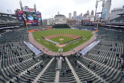 Detroit Tigers fans react after game 