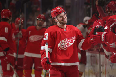 Red Wings open Little Caesars Arena with win