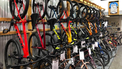 Best stores hotsell to buy bikes