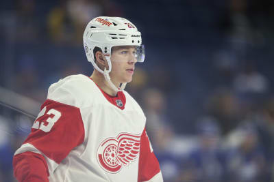 Do the Red Wings have the NHL's top two rookies?