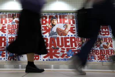 Bauer a celebrity in Japan despite sexual assault claims