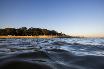 Tidal forces The gravitational influence of the sun and moon