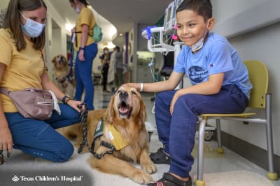 Dogs visit sale hospital patients