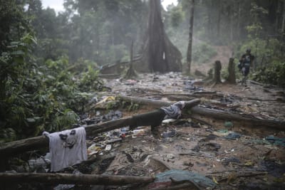 The jungle between Colombia and Panama becomes a highway for migrants from  around the world – WATE 6 On Your Side