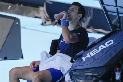 Telegraf indsats morfin Djokovic acknowledges error on Australian travel declaration