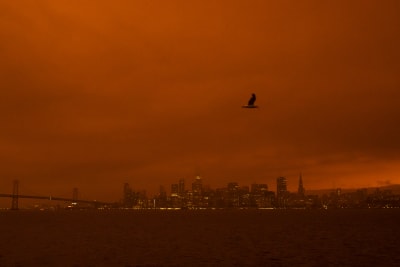 Eerie scene for Giants game as wildfire smoke engulfs Oracle Park