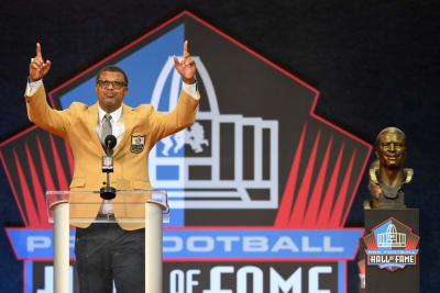 Pro Football Hall of Fame class has something for everybody