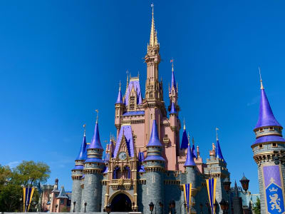 Disney Castle to Close for All Guests - Inside the Magic